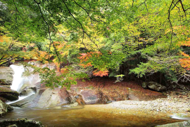 Kyushu, el Japón oriental