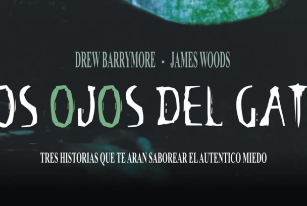 Los ojos del gato
