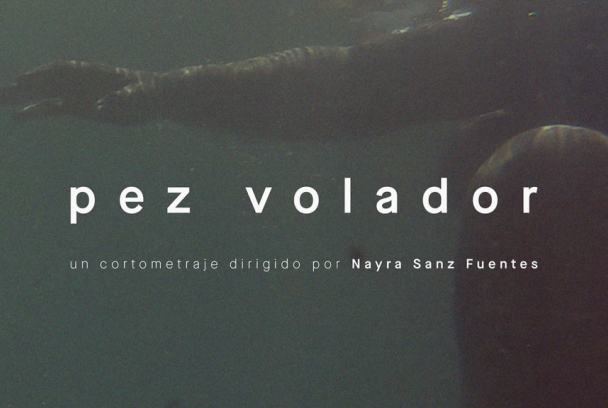 Pez volador