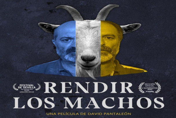 Rendir los machos
