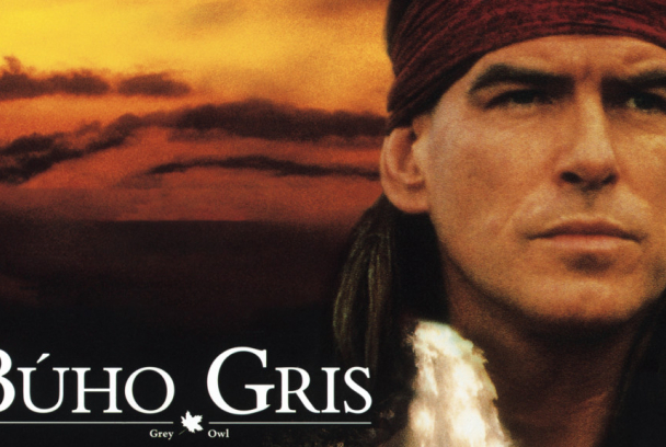 Búho Gris