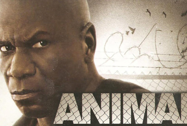 Animal