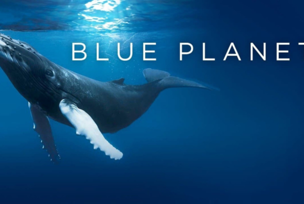 Planeta Azul