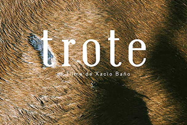 Trote