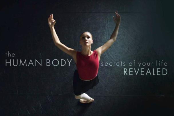 Los secretos del cuerpo humano