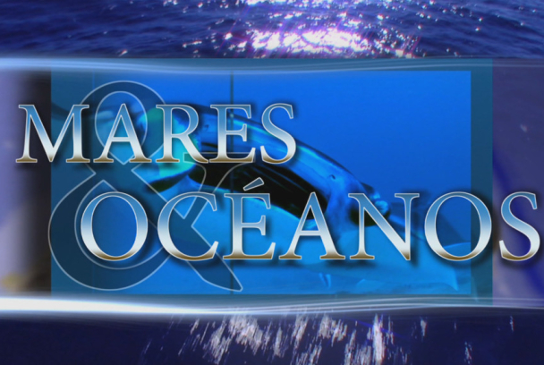 Mares y océanos