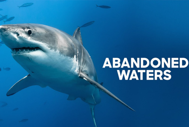 Abandoned Waters