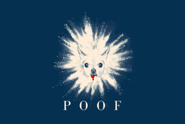 Puuf