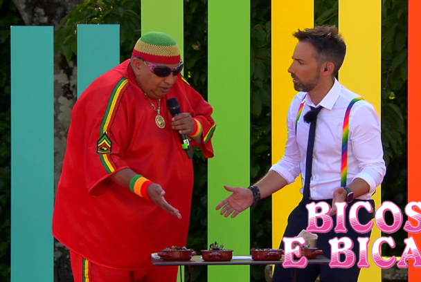 Bicos e bicas