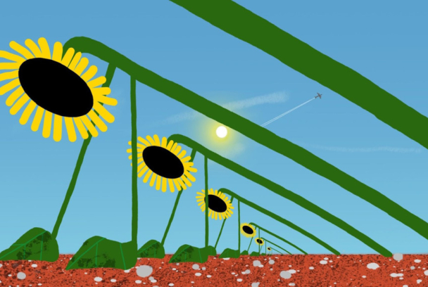 Girasol