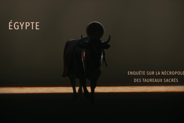 Egipto, el tesoro de los toros sagrados