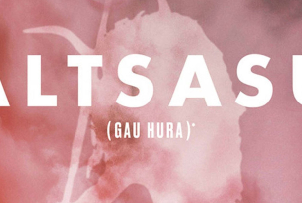 Altsasu (aquella nit)