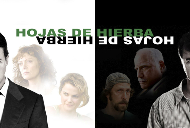 Hojas de hierba