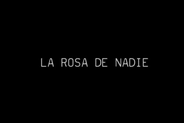 La rosa de nadie