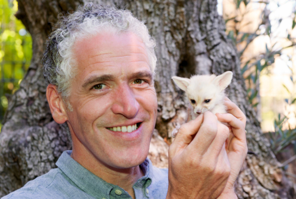 Animales irresistibles