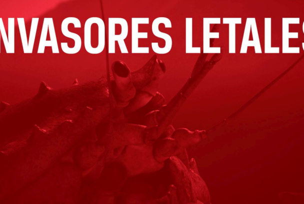 Invasores letales