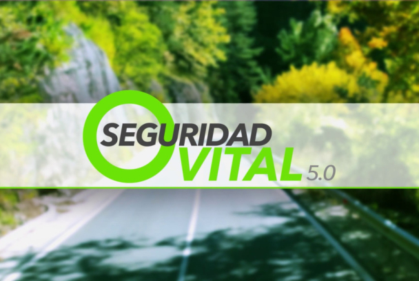 Seguridad vital 5.0