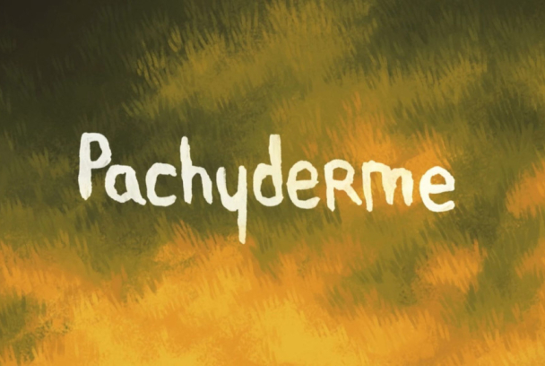 Paquidermo