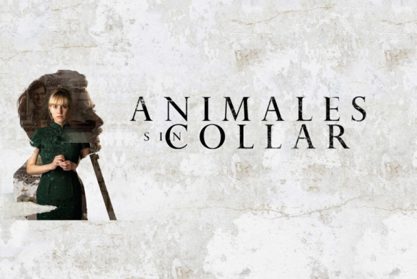 Animales sin collar