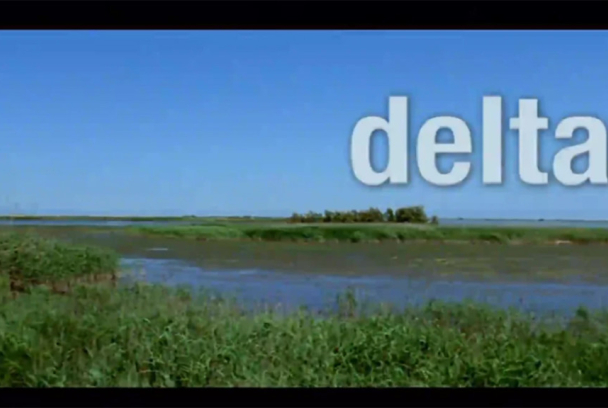 Delta