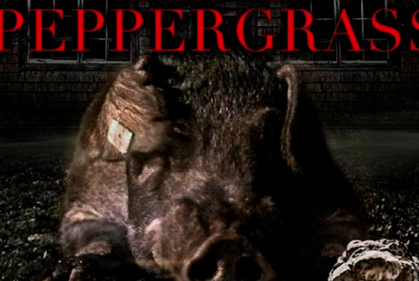 Peppergrass