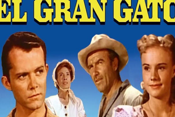 El gran gato