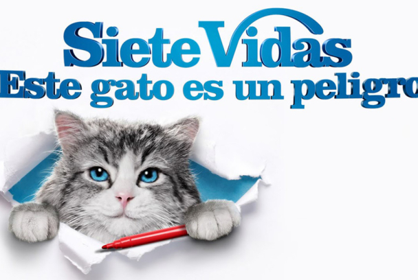 Siete vidas: Este gato es un peligro