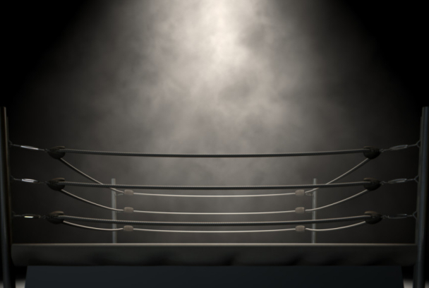 Boxeo: combate George Foreman vs Luis Pires