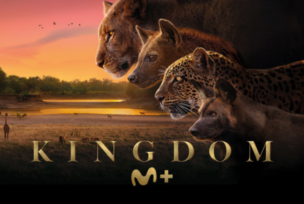 Kingdom