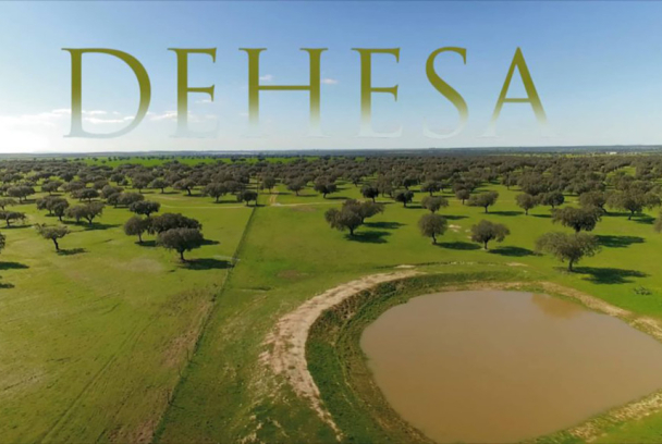 Dehesa
