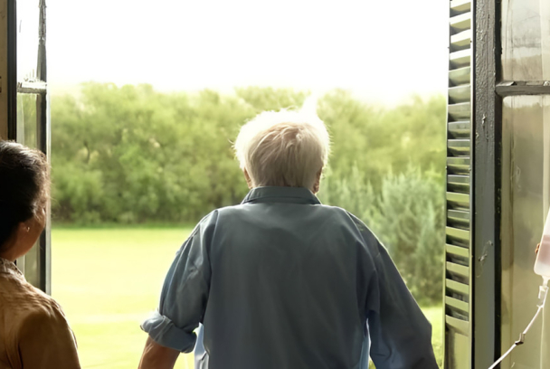 La ventana