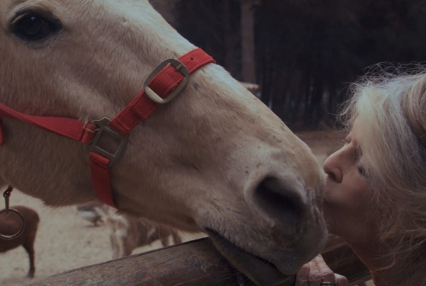 Bardot