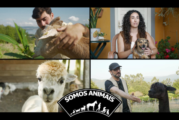 Somos animais