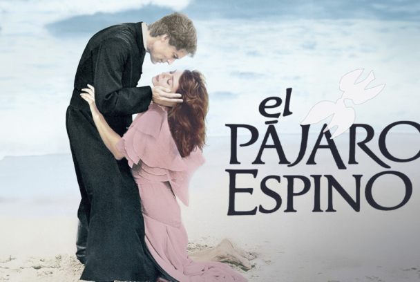 El pájaro espino