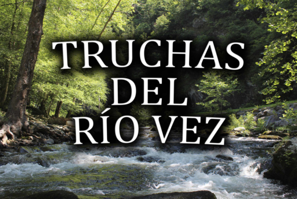 Truchas del río vez