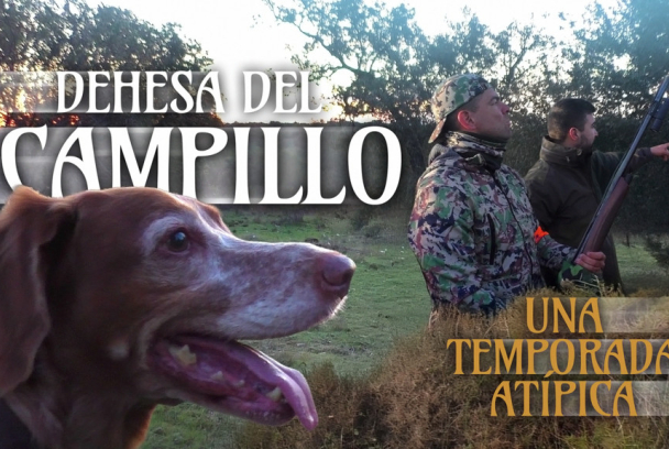 Dehesa el Campillo, una temporada atípica