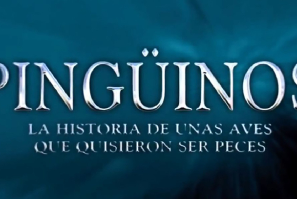 Pingüinos, la historia de las aves que quisieron ser peces