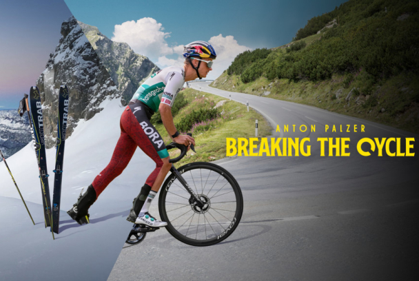 Anton Palzer: Breaking the Cycle