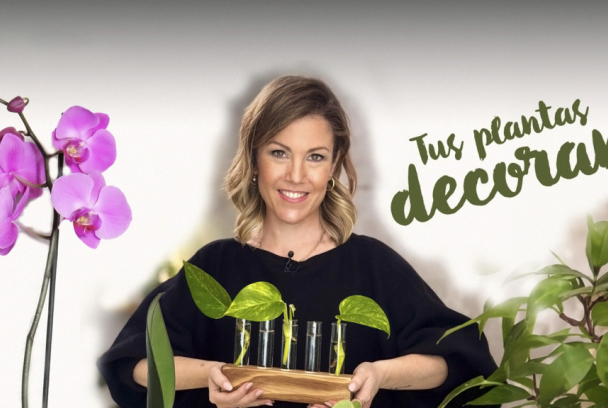 Tus plantas decoran