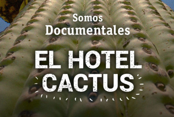 El hotel cactus