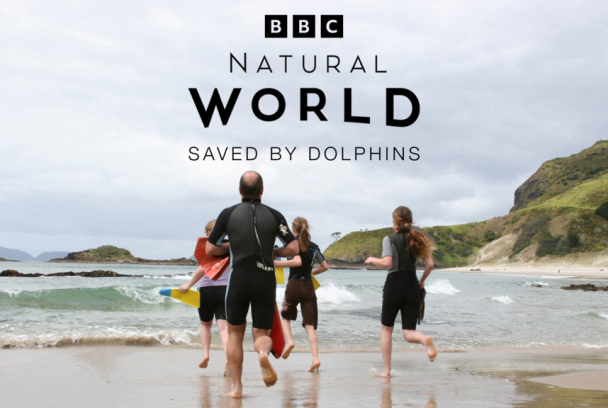 Salvados por los delfines