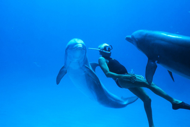 Dolphin Man