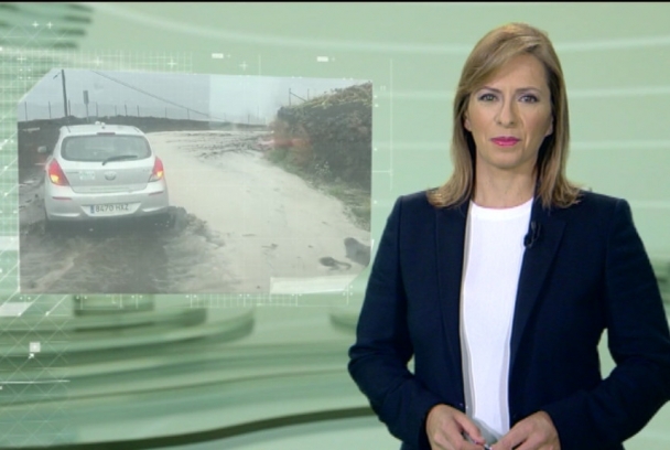 Reportajes El Tiempo