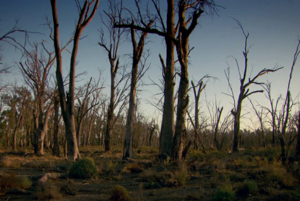 Australia con Simon Reeve