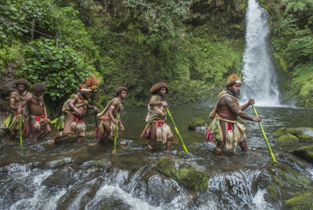Mundiya Kepanga, hermanos de los árboles