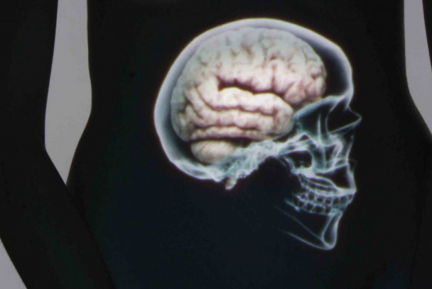 El vientre, nuestro segundo cerebro