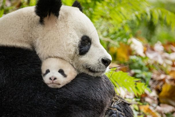 Born in China