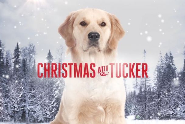 Por siempre Tucker