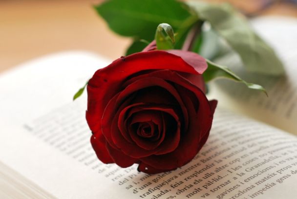 El Matí de Sant Jordi