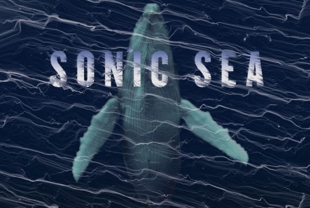 Sonic Sea